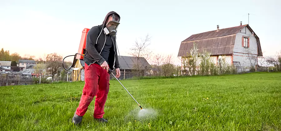 Flea and Tick Pest Control in Peachtree City