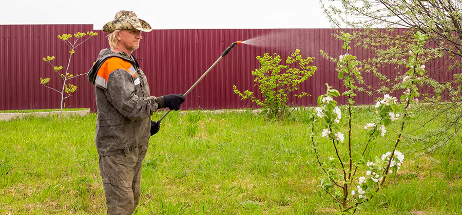 Flea and Tick Spray for Yard in Peachtree City