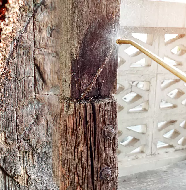Why Choose Peachtree City Pest Control Pro for Attic Termite Treatment in Peachtree City, GA?