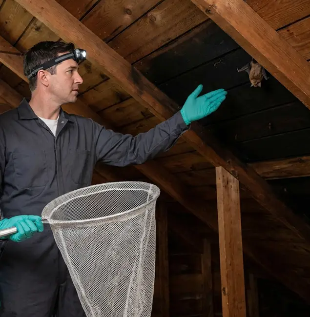 Why Peachtree City Pest Control Pro Is the Right Choice in Peachtree City, GA?
