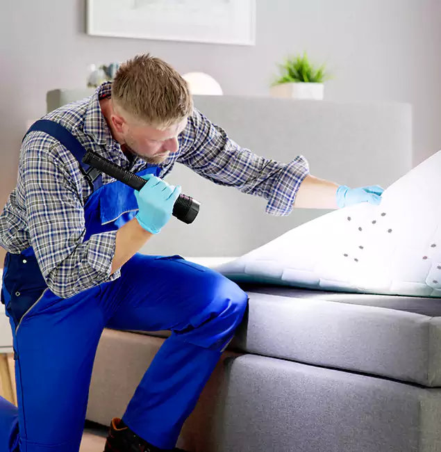 Why Choose Peachtree City Pest Control Pro for Bed Bug Exterminator Cost in Peachtree City, GA?