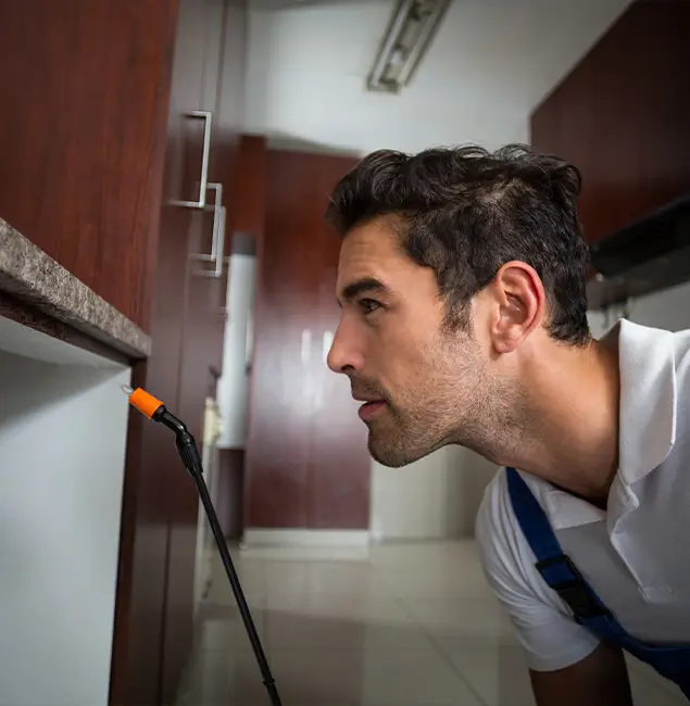 Why Choose Peachtree City Pest Control Pro for Bed Bug Removal Cost in Peachtree City, GA?