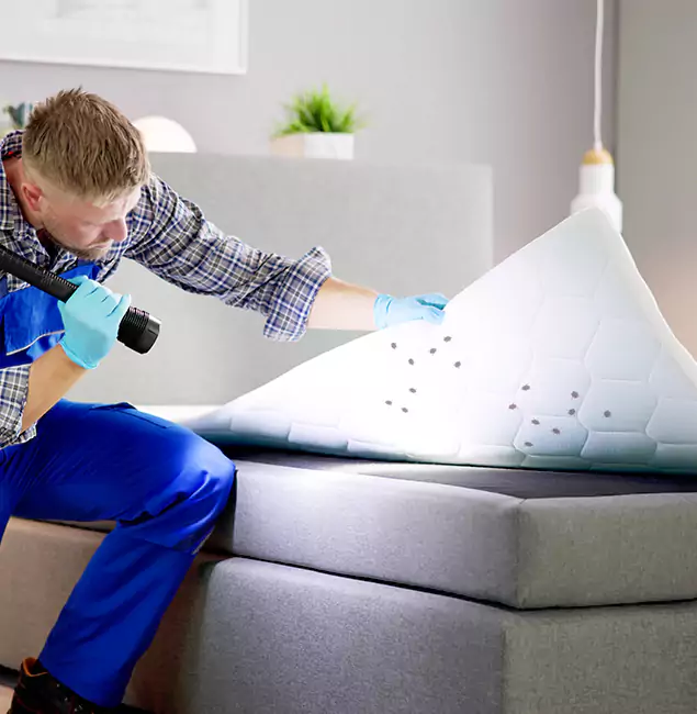 Why Choose Peachtree City Pest Control Pro in Peachtree City, GA?