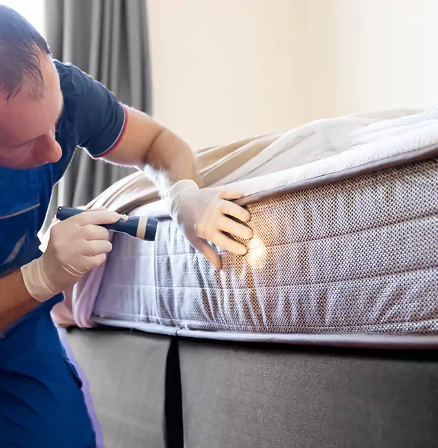 Why Choose Peachtree City Pest Control Pro for Bed Bug Services in Peachtree City, GA?