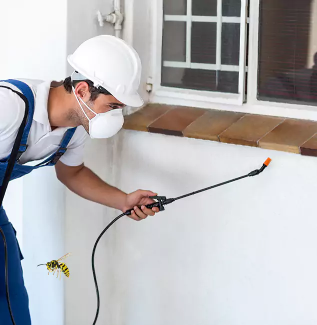 Why Peachtree City Property Owners Choose Peachtree City Pest Control Pro for Bee Nest Removal?