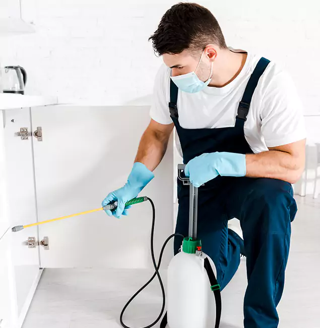 Why Choose Peachtree City Pest Control Pro for Emergency Pest Control in Peachtree City?
