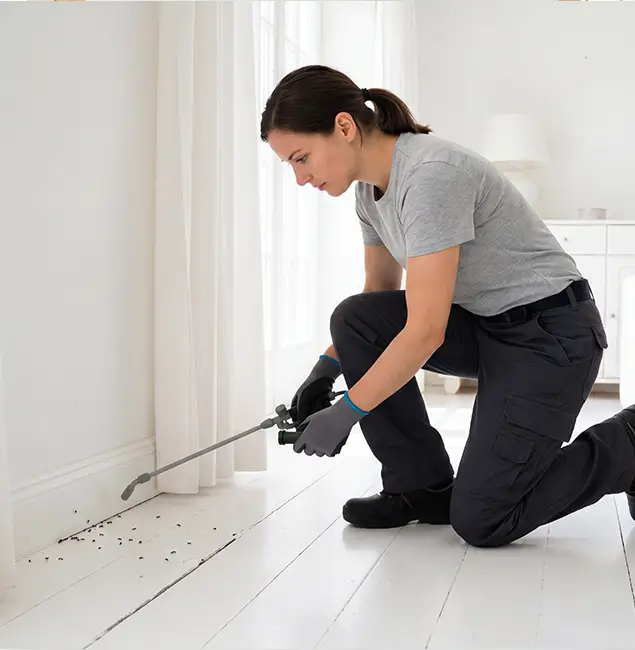 Why Peachtree City, GA Property Owners Trust Peachtree City Pest Control Pro for Fire Ant Control?