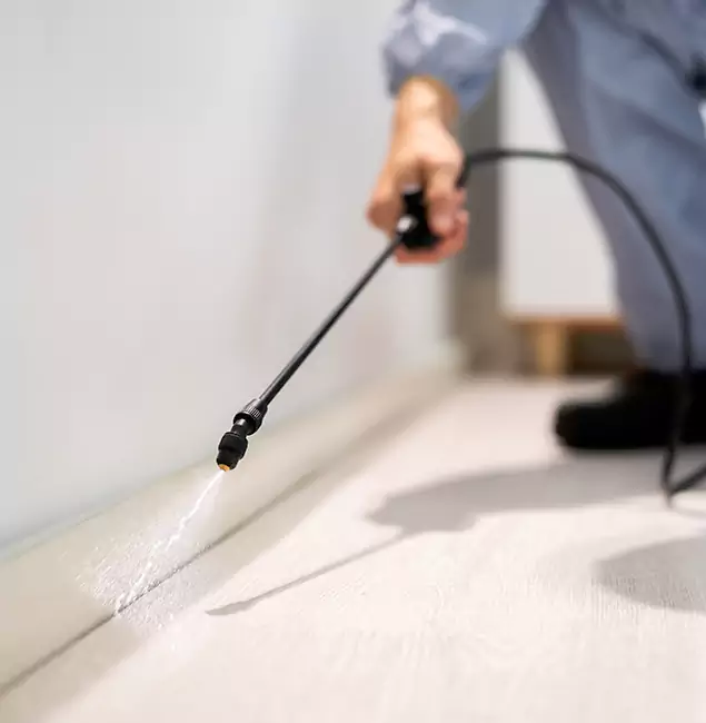 Why Choose Peachtree City Pest Control Pro for Termite Treatment in Peachtree City, GA?