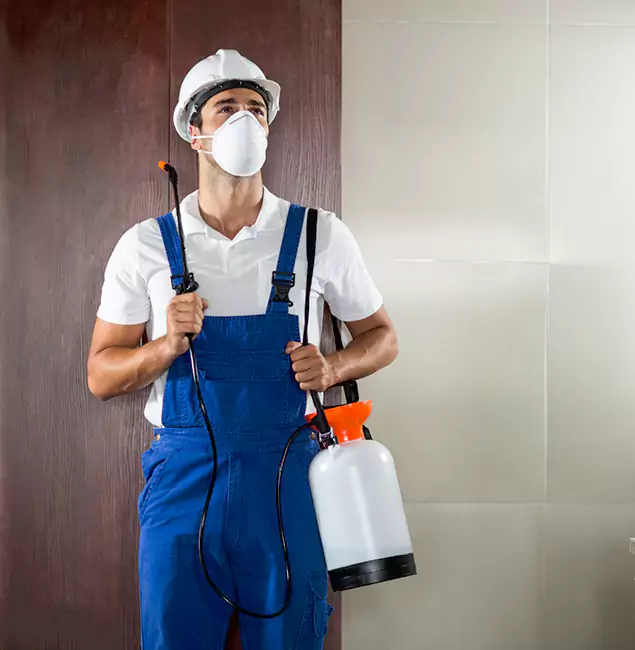 Why Choose Us for Heat Treatment for Termites in Peachtree City, GA?