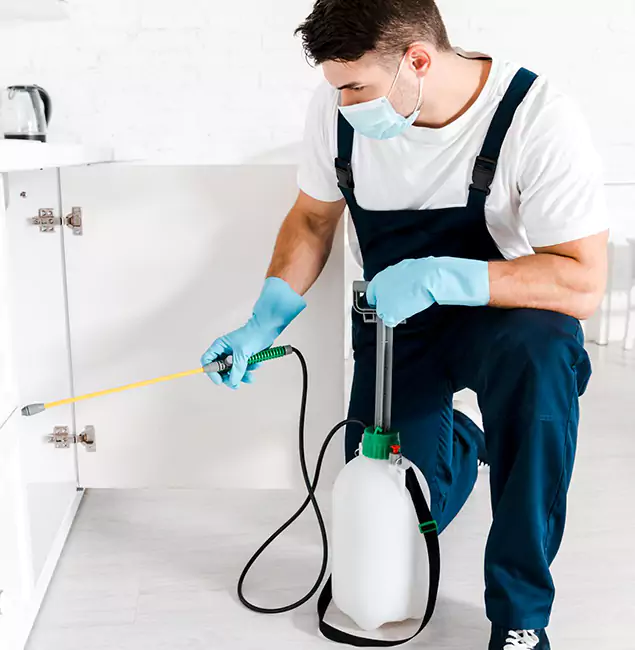 Why Choose Peachtree City Pest Control Pro for Indoor Pest Control in Peachtree City, GA?