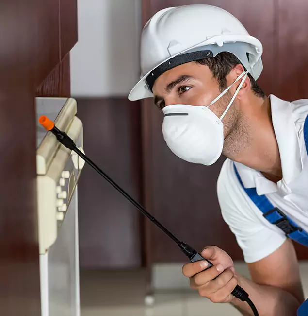 Why Peachtree City Homeowners Rely on Peachtree City Pest Control Pro for Tick Treatment?