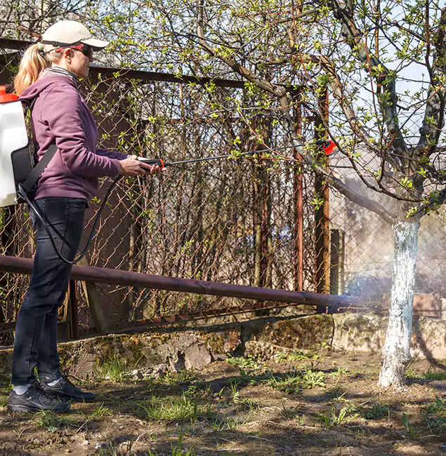 Why Peachtree City Homeowners Choose Peachtree City Pest Control Pro for Mosquito Abatement?