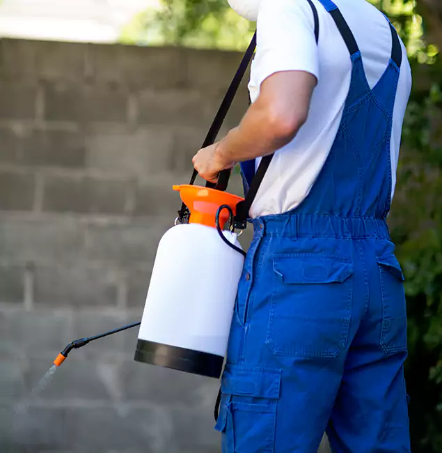Why Peachtree City Homeowners Rely on Peachtree City Pest Control Pro for Mosquito Control?