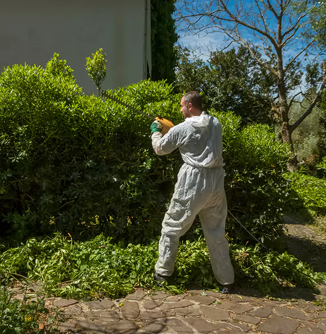 Why Peachtree City Pest Control Pro Leads Mosquito Control in Peachtree City, GA?