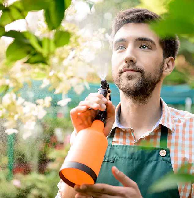 Why Peachtree City Pest Control Pro Is the Best Mosquito Control Company in Peachtree City, GA?