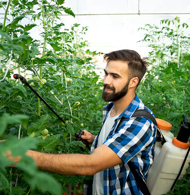 Why Peachtree City Homeowners Choose Peachtree City Pest Control Pro for Mosquito Spraying?