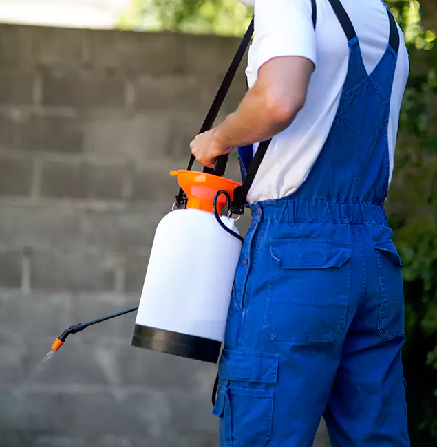 Why Peachtree City Pest Control Pro Delivers the Best Mosquito Control in Peachtree City, GA?