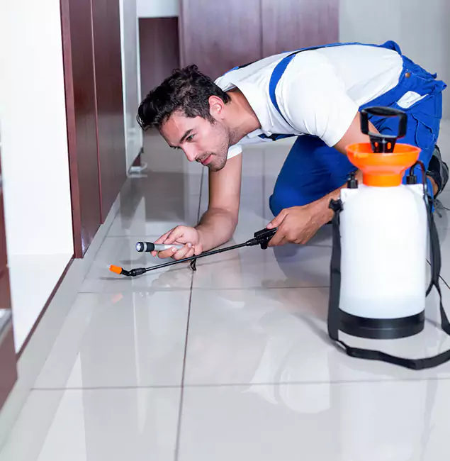 Why Peachtree City Pest Control Pro Is the Proven Choice in Peachtree City, GA?