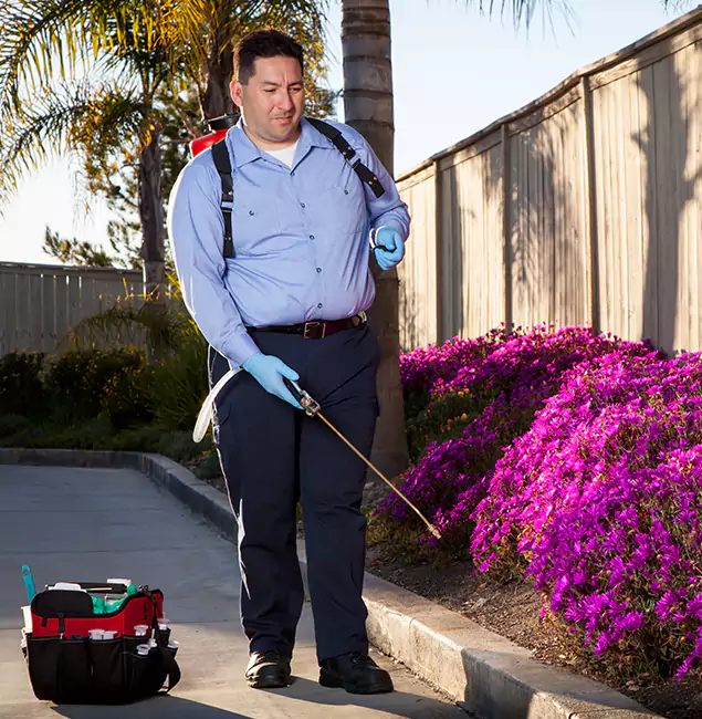 Why Choose Peachtree City Pest Control Pro in Peachtree City, GA?