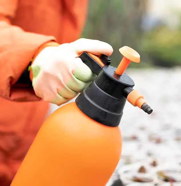 Why Choose Peachtree City Pest Control Pro for Orange Termite Treatment in Peachtree City, GA?