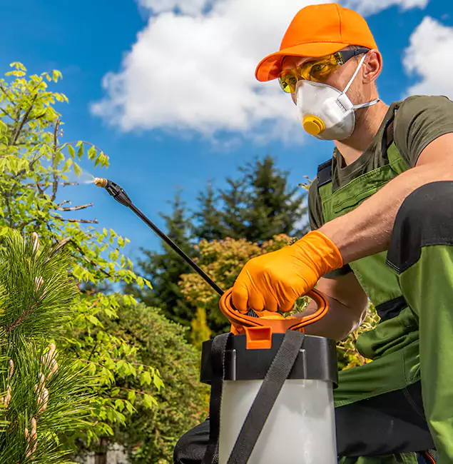 Why Choose Peachtree City Pest Control Pro for Outdoor Pest Control in Peachtree City, GA?