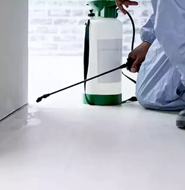 Why Choose Peachtree City Pest Control Pro for Rat Exterminator in Peachtree City, GA?