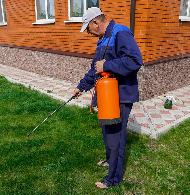 Why Choose Peachtree City Pest Control Pro for Residential Pest Control in Peachtree City, GA?