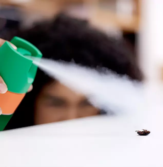 Why Peachtree City, GA Homeowners Choose Peachtree City Pest Control Pro for Roach Pest Control?
