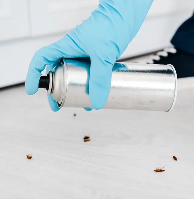 Why Choose Peachtree City Pest Control Pro for Safe Bed Bug Treatment in Peachtree City, GA?