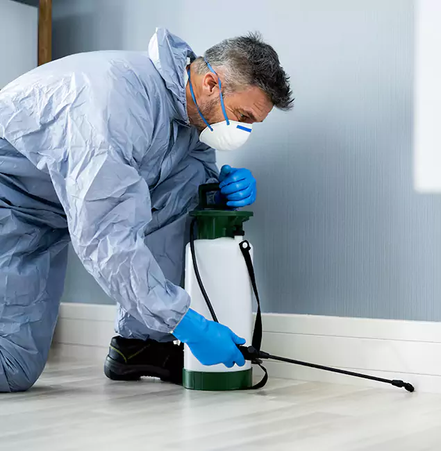 Why Choose Peachtree City Pest Control Pro for Subterranean Termites Treatment in Peachtree City, GA?