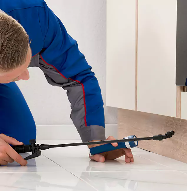 Why Peachtree City Residents Choose Peachtree City Pest Control Pro to Get Rid of Sugar Ants?
