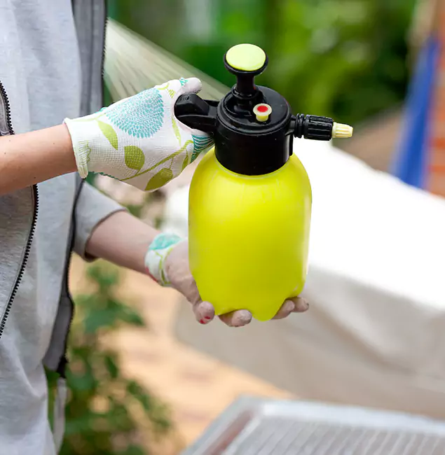 Why Choose Us: Peachtree City Pest Control Pro Termite Spraying Experts in Peachtree City, GA?