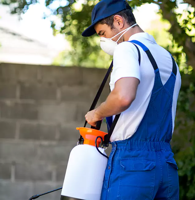 Why Peachtree City Pest Control Pro Is the Right Choice for Yellow Jacket Removal in Peachtree City, GA?