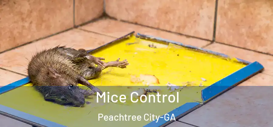 Mice Control Peachtree City-GA