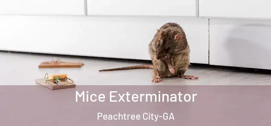 Mice Exterminator Peachtree City-GA