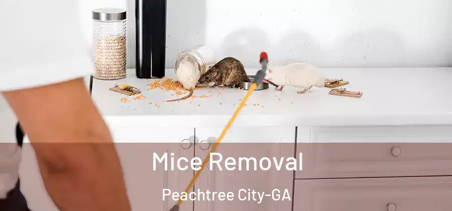 Mice Removal Peachtree City-GA