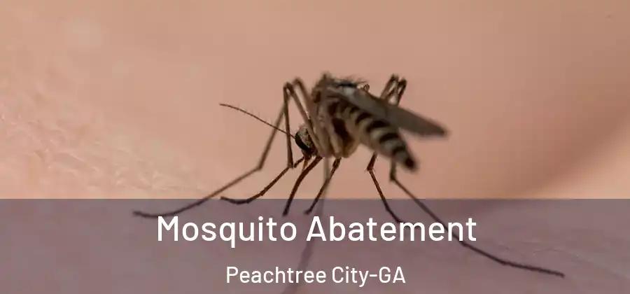 Mosquito Abatement Peachtree City-GA