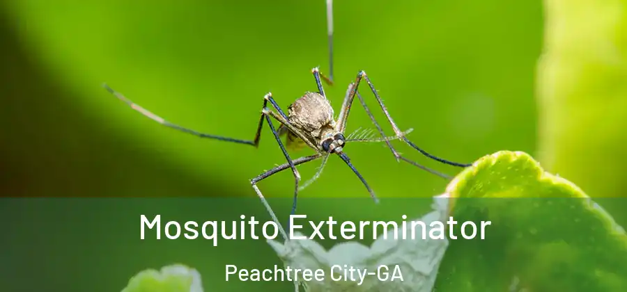 Mosquito Exterminator Peachtree City-GA
