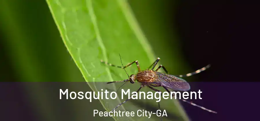 Mosquito Management Peachtree City-GA