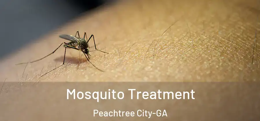 Mosquito Treatment Peachtree City-GA
