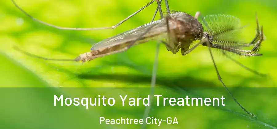 Mosquito Yard Treatment Peachtree City-GA