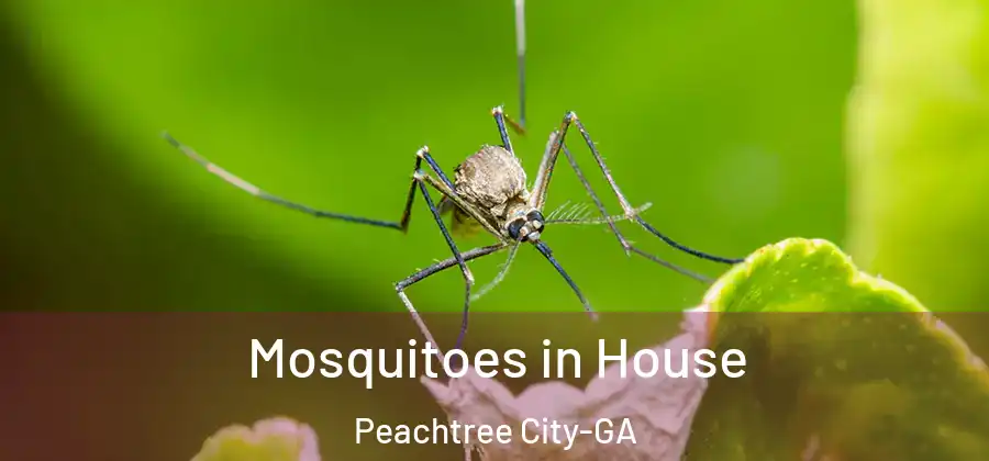 Mosquitoes in House Peachtree City-GA