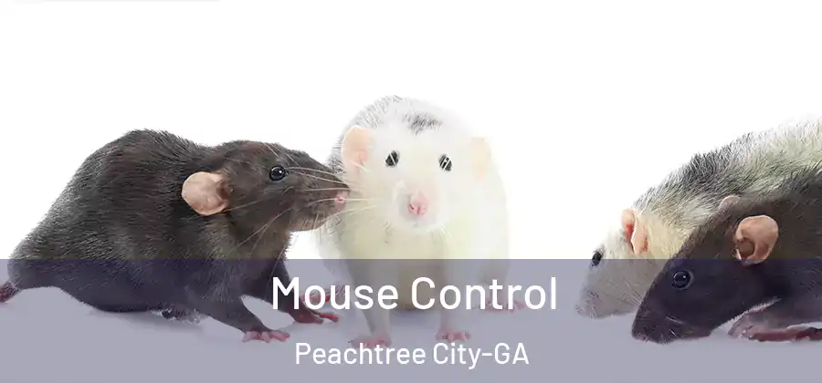 Mouse Control Peachtree City-GA