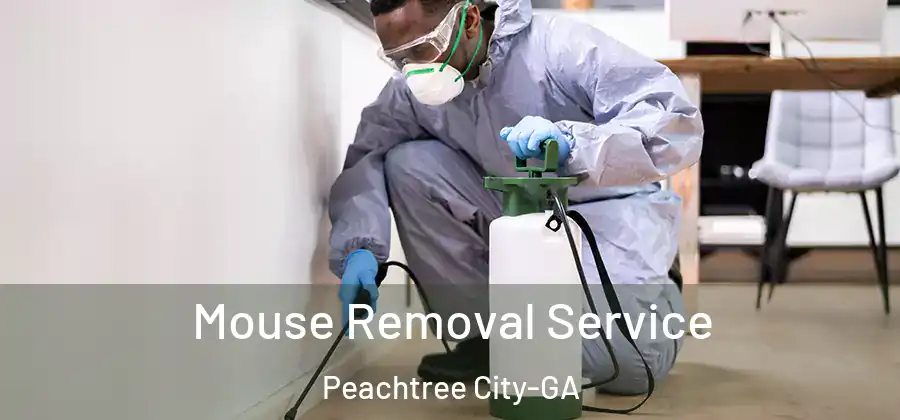 Mouse Removal Service Peachtree City-GA