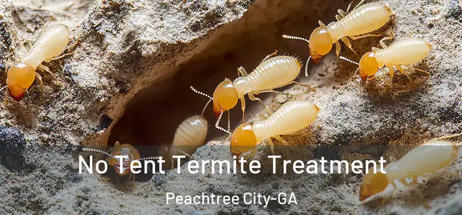 No Tent Termite Treatment Peachtree City-GA