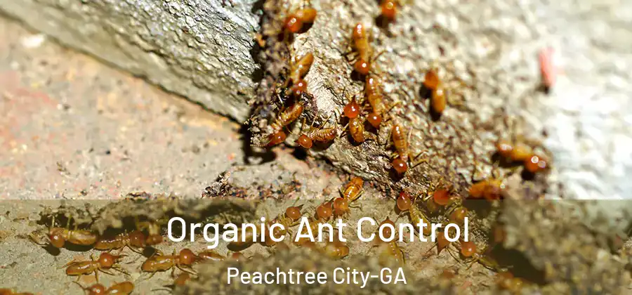 Organic Ant Control Peachtree City-GA