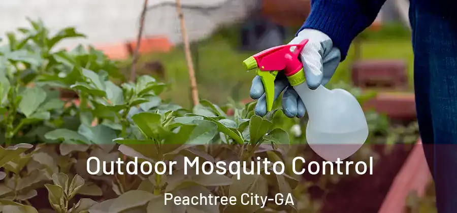 Outdoor Mosquito Control Peachtree City-GA
