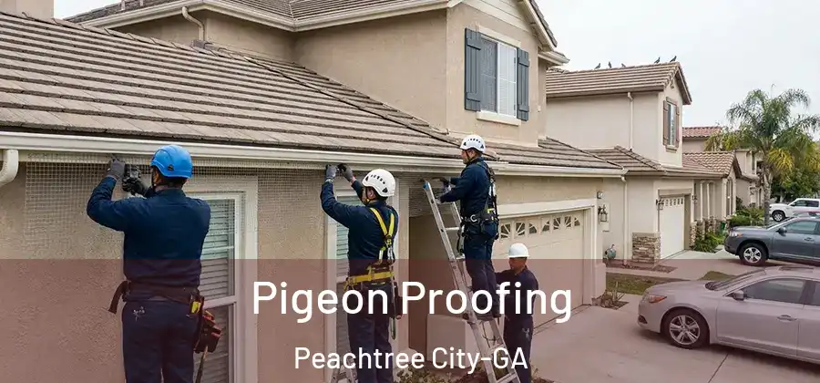 Pigeon Proofing Peachtree City-GA