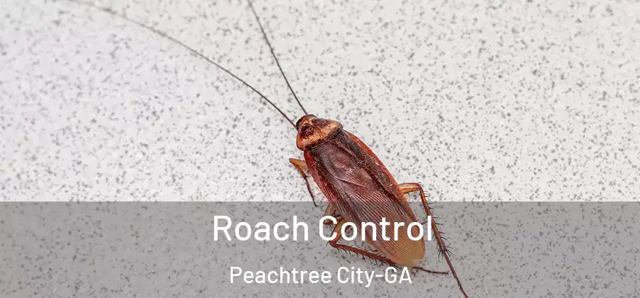 Roach Control Peachtree City-GA
