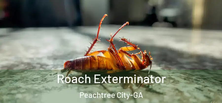 Roach Exterminator Peachtree City-GA